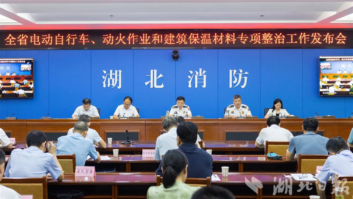 在今年上半年,湖北省的电动车数量下降了近6